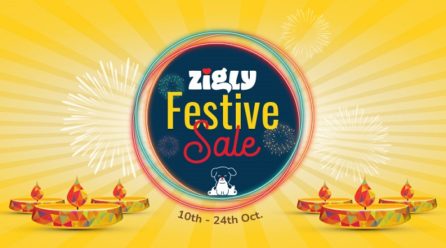 Celebrate This Festive Season With Zigly’s Diwali Festive Sale For Pets