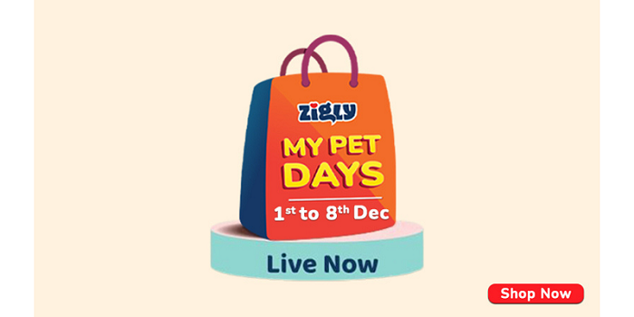 Shop All The Wishlisted Pet Products! Zigly My Pet Days Are Back!