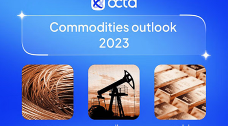 Octa research: commodity performers in 2023